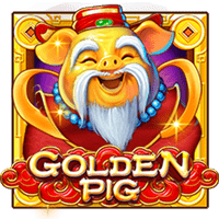 Golden Pig